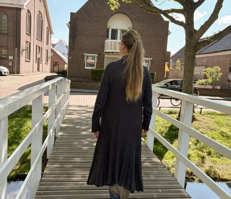 De oversteek