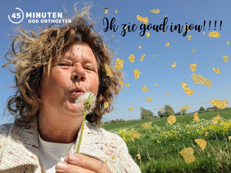 Het bloemenveld